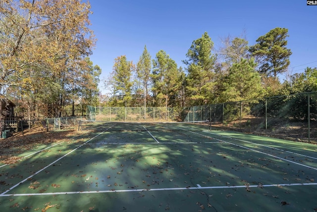 124 Pond Edge Ln, Chapin, SC 29036 - view of sport court with fence