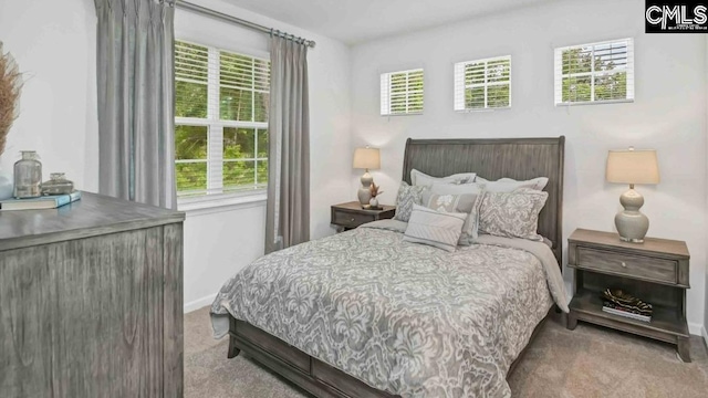 118A Willow Creek Blvd, Lugoff, SC 29078 - carpeted bedroom with baseboards