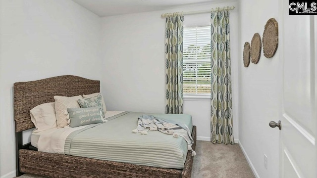 118A Willow Creek Blvd, Lugoff, SC 29078 - bedroom featuring carpet flooring and baseboards