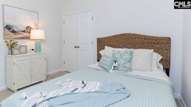118A Willow Creek Blvd, Lugoff, SC 29078 - bedroom with a closet, baseboards, and light carpet