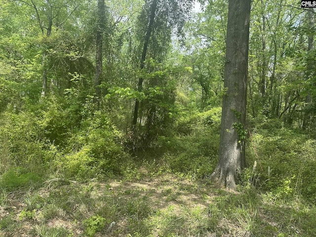 440 Paschal Rd, Elgin, SC 29045