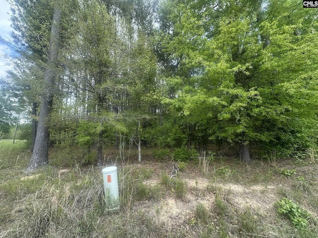 440 Paschal Rd, Elgin, SC 29045