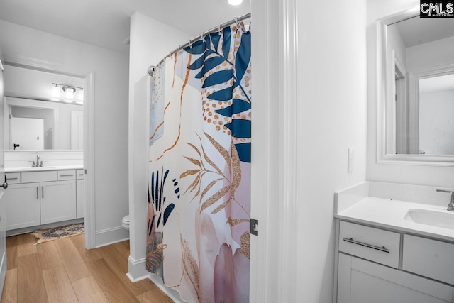 bathroom featuring toilet, two vanities, a sink, and wood finished floors
