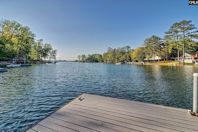 209 Mariannas Ct, Lexington, SC 29072 - view of dock with a water view