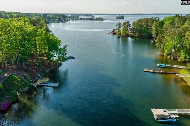 209 Mariannas Ct, Lexington, SC 29072 - birds eye view of property featuring a water view