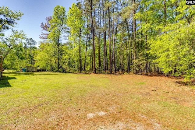 view of yard featuring a forest view