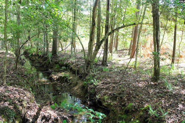 TBD Crooked Creek Road, Chapin, SC 29036
