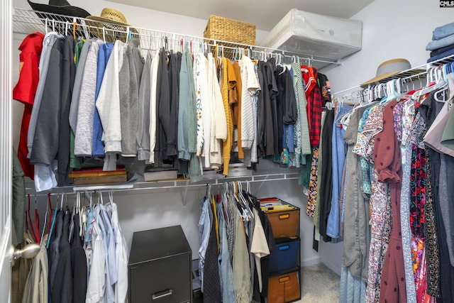 view of spacious closet