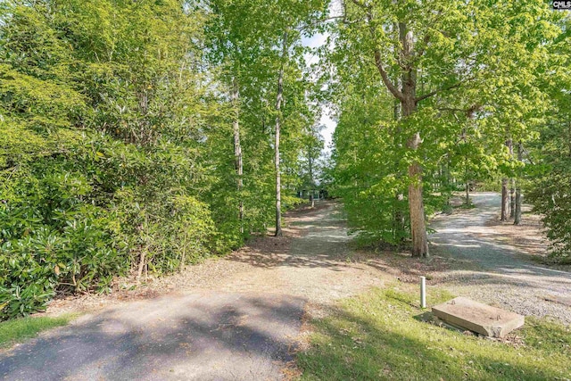 1724 Gold Nugget Pt, Prosperity, SC 29127 - view of road