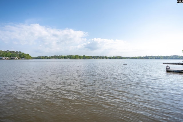 1724 Gold Nugget Pt, Prosperity, SC 29127 - water view
