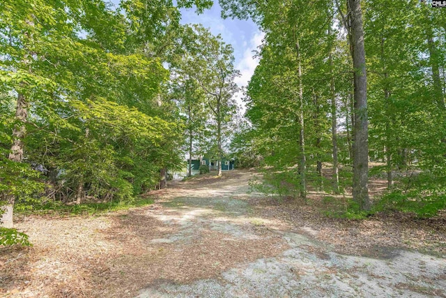 1724 Gold Nugget Pt, Prosperity, SC 29127 - view of road with dirt driveway