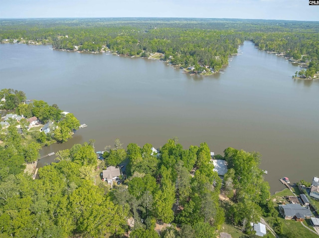 1724 Gold Nugget Pt, Prosperity, SC 29127 - drone / aerial view featuring a forest view and a water view