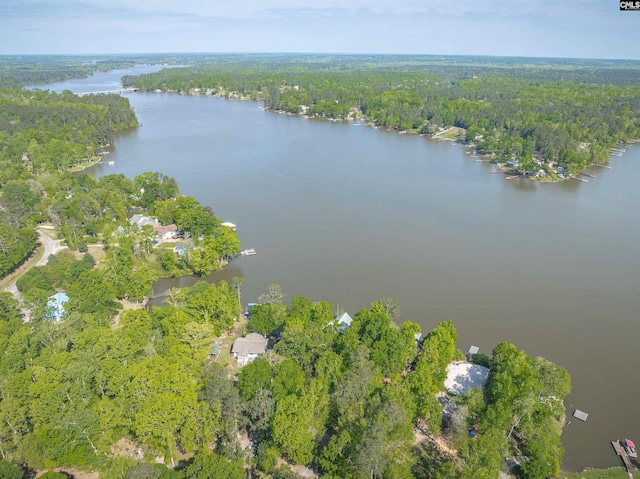 1724 Gold Nugget Pt, Prosperity, SC 29127 - aerial view with a water view and a view of trees