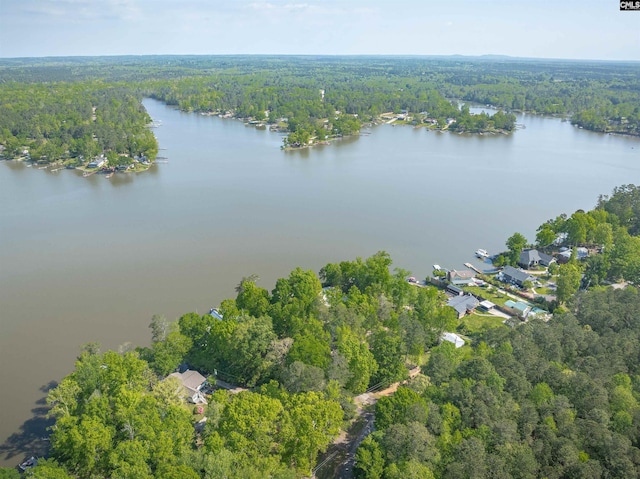 1724 Gold Nugget Pt, Prosperity, SC 29127 - drone / aerial view with a wooded view and a water view