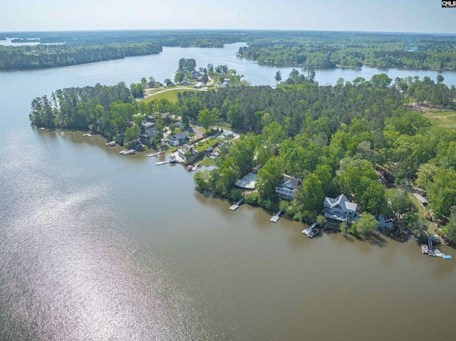 1724 Gold Nugget Pt, Prosperity, SC 29127 - birds eye view of property featuring a water view and a wooded view