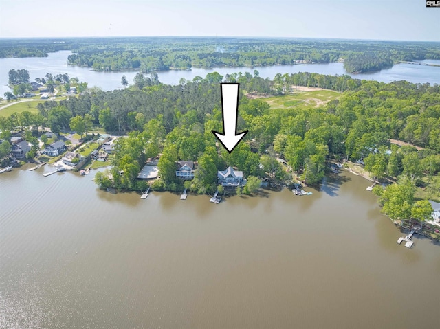 1724 Gold Nugget Pt, Prosperity, SC 29127 - aerial view with a water view and a view of trees