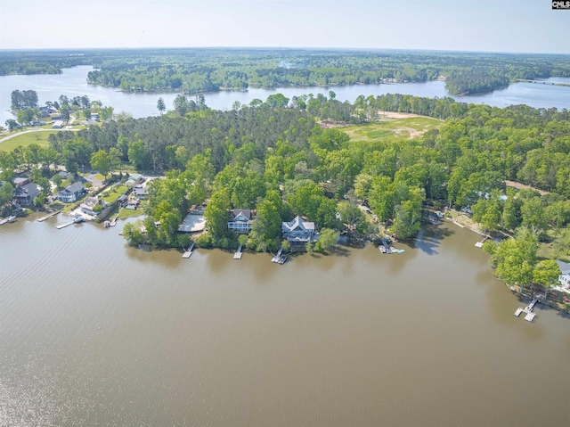 1724 Gold Nugget Pt, Prosperity, SC 29127 - aerial view featuring a water view and a forest view