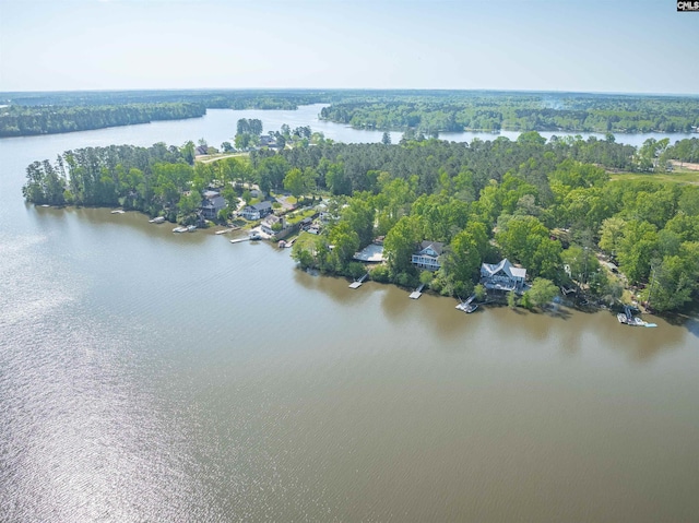 1724 Gold Nugget Pt, Prosperity, SC 29127 - bird's eye view with a view of trees and a water view