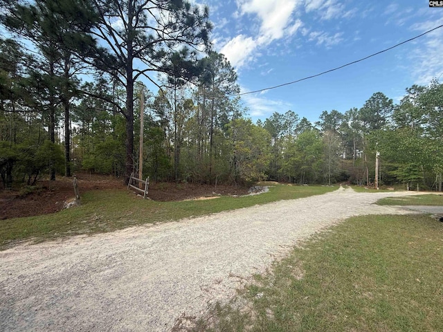 115 Carefree Ct, Leesville, SC 29070