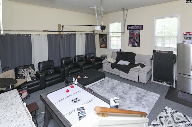 304 Oakhurst Pl, Blythewood, SC 29016 - interior space featuring carpet and plenty of natural light