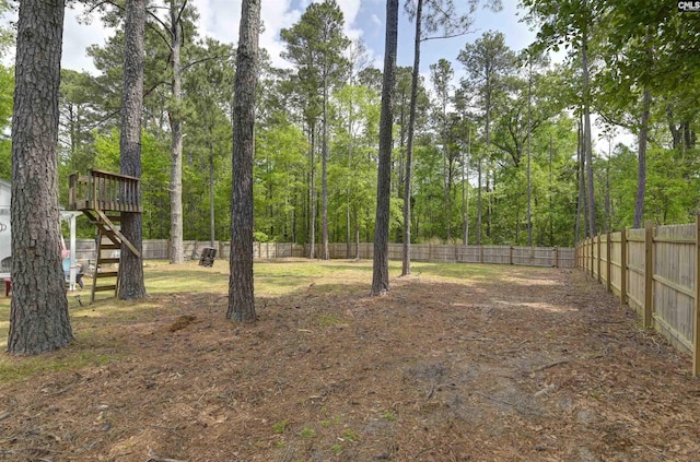 304 Oakhurst Pl, Blythewood, SC 29016 - view of yard with fence