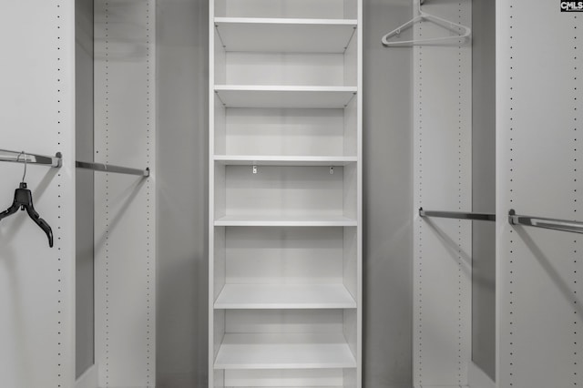 view of walk in closet