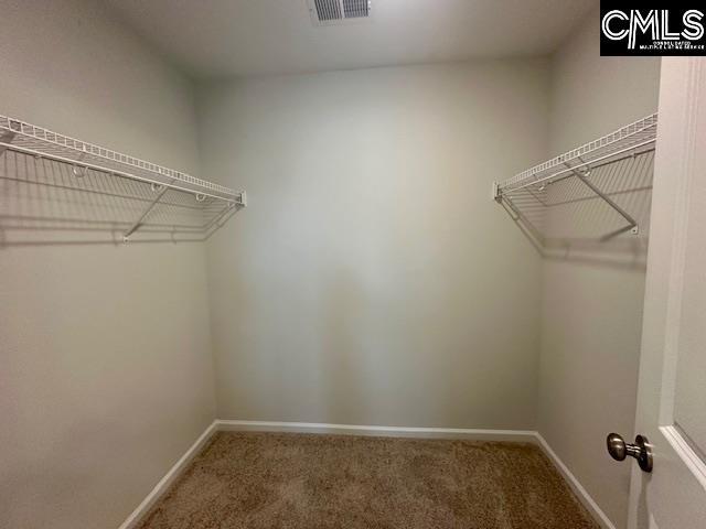 2022 Skyline Rd, Columbia, SC 29229 - walk in closet with carpet floors