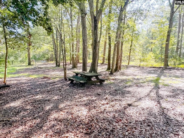 view of yard with a wooded view