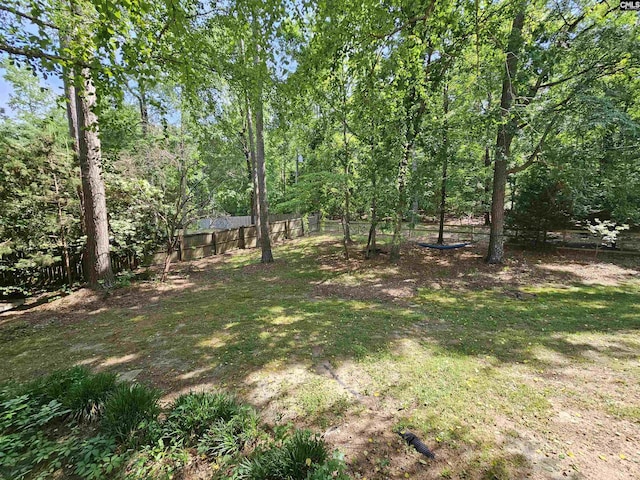 134 Birdsong Trl, Chapin, SC 29036 - view of yard with fence