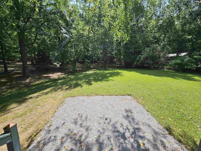 134 Birdsong Trl, Chapin, SC 29036 - view of green lawn with a patio area
