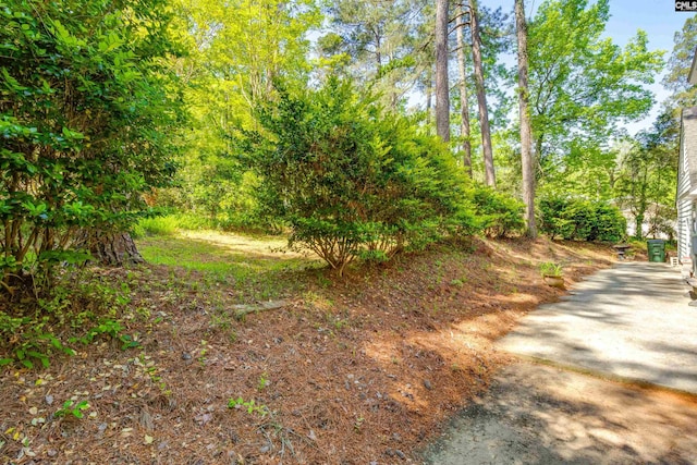 1605 Quail Lake Dr, West Columbia, SC 29169 - exterior space