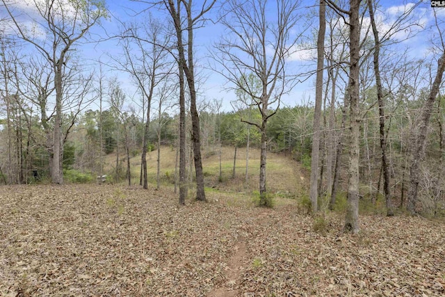 2482 Old Douglass Rd, Winnsboro, SC 29180