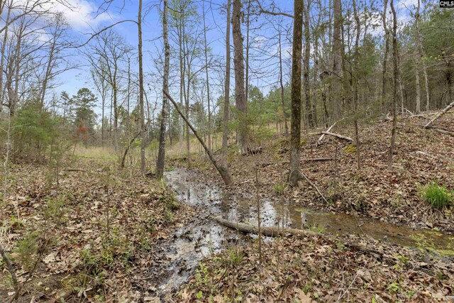 2482 Old Douglass Rd, Winnsboro, SC 29180