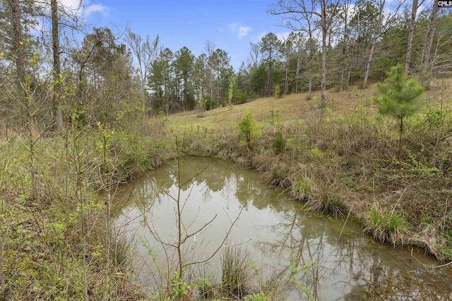 2482 Old Douglass Rd, Winnsboro, SC 29180