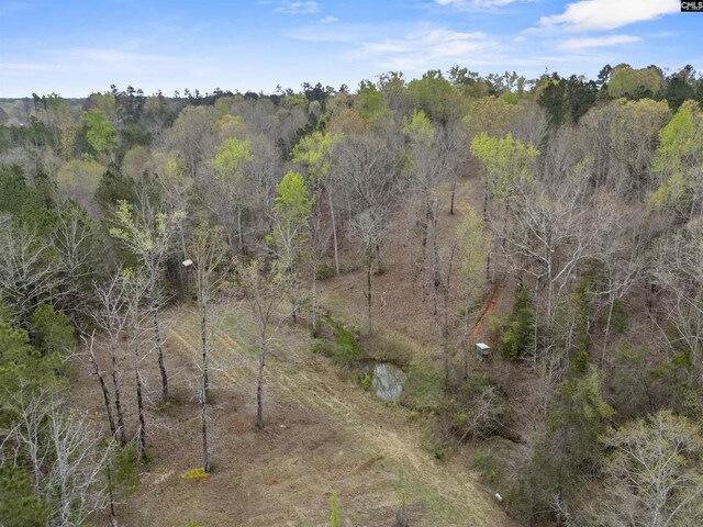2482 Old Douglass Rd, Winnsboro, SC 29180