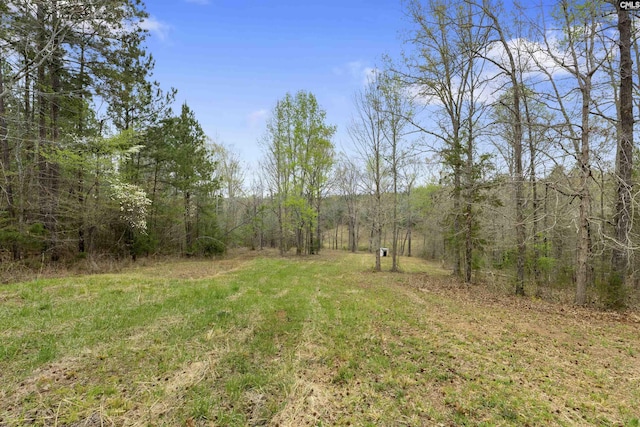 2482 Old Douglass Rd, Winnsboro, SC 29180