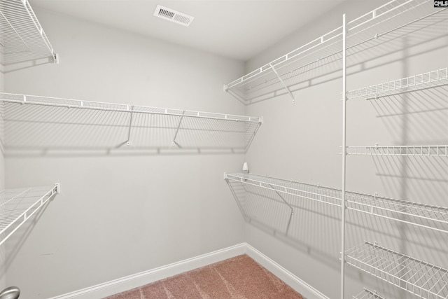 126 Sunset Bay Ln, Lexington, SC 29072 - spacious closet with visible vents and carpet floors