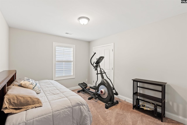126 Sunset Bay Ln, Lexington, SC 29072 - bedroom featuring carpet floors, baseboards, and visible vents
