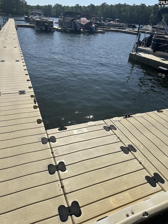 dock area with a water view