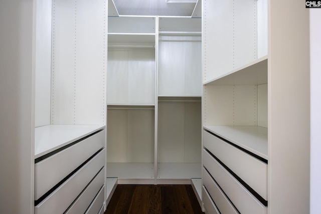 1168 Peninsula Dr, Prosperity, SC 29127 - walk in closet with dark wood-style flooring