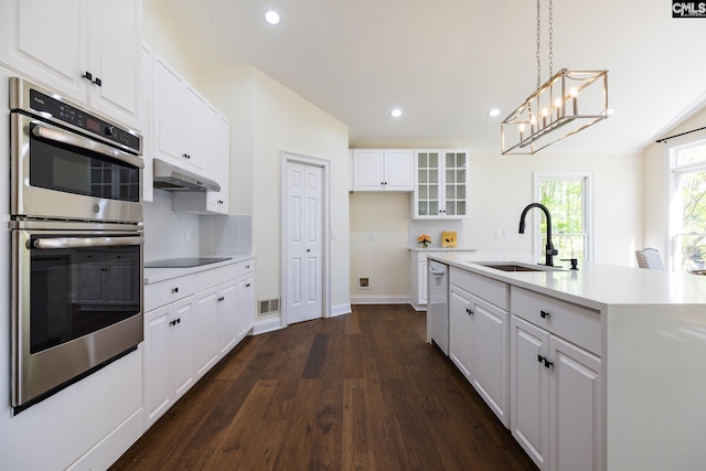 1168 Peninsula Dr, Prosperity, SC 29127 - kitchen with dark wood-style floors, a sink, visible vents, under cabinet range hood, and double oven