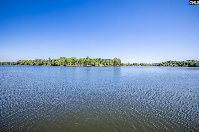 1168 Peninsula Dr, Prosperity, SC 29127 - water view