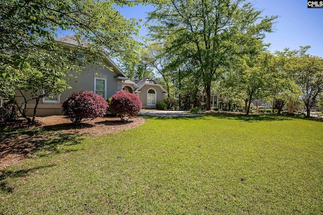 1168 Peninsula Dr, Prosperity, SC 29127 - view of yard