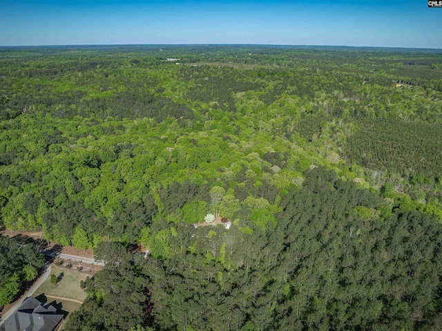 107 Turkey Ridge Ln, Lugoff, SC 29078 - drone / aerial view featuring a view of trees