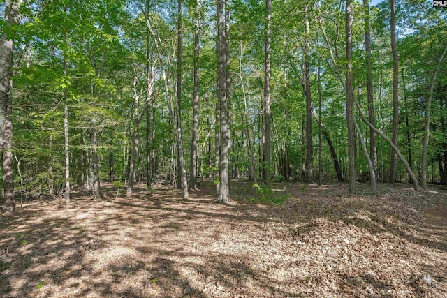 107 Turkey Ridge Ln, Lugoff, SC 29078 - view of landscape with a wooded view