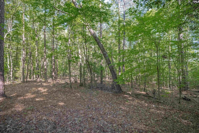 107 Turkey Ridge Ln, Lugoff, SC 29078 - view of local wilderness with a forest view