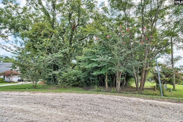 419 Blackberry Pl, Lugoff, SC 29078
