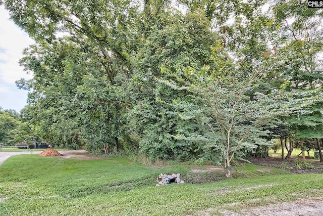 419 Blackberry Pl, Lugoff, SC 29078