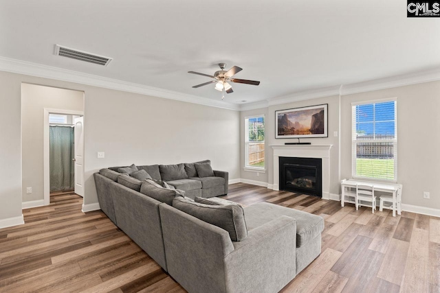 living area with a glass covered fireplace, ceiling fan, light wood-style flooring, ornamental molding, and visible vents
