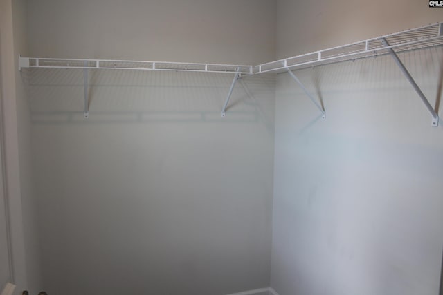 518 Cricket Chirp Ln, Elgin, SC 29045 - view of spacious closet